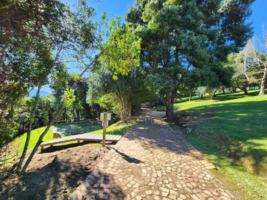 Commercial Property for Sale in Wilderness Heights Western Cape